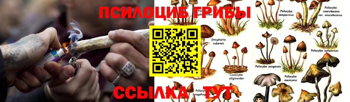 Реутов  Псилоцибиновые грибы мицелий  Вход с VPN  Псилоцибиновые грибы ЛСД 